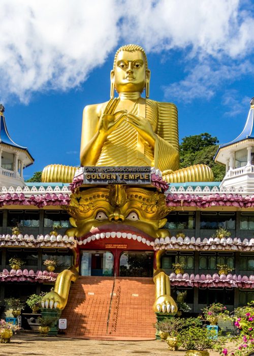 steptodown.com247542