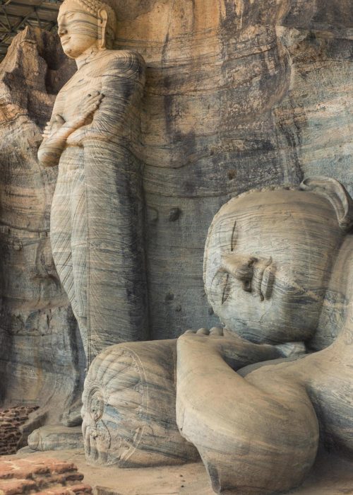 steptodown.com871358